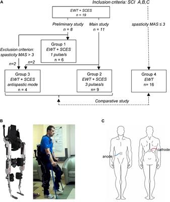 Exoskeleton Walk Training in Paralyzed Individuals Benefits From Transcutaneous Lumbar Cord Tonic Electrical Stimulation